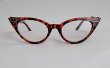 画像1: キャッツアイ　シニアグラス　老眼鏡　（+1.0）ケース付き　Leopard　 (1)